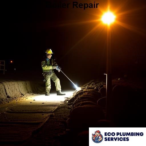 Eco Plumbing Boiler Repair