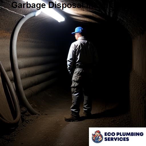 Eco Plumbing Garbage Disposal Installation